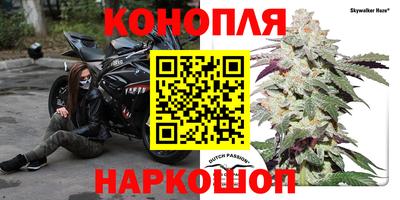 ECSTASY Камышлов