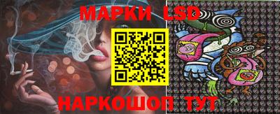 ECSTASY Камышлов
