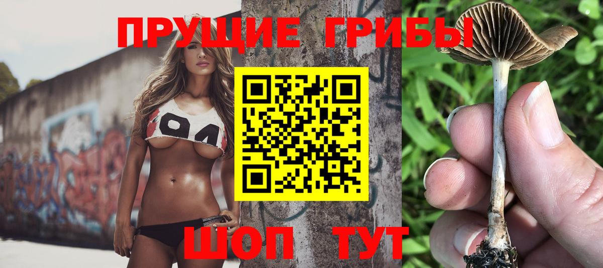 Куйбышев  Псилоцибиновые грибы прущие грибы  Вход с VPN 