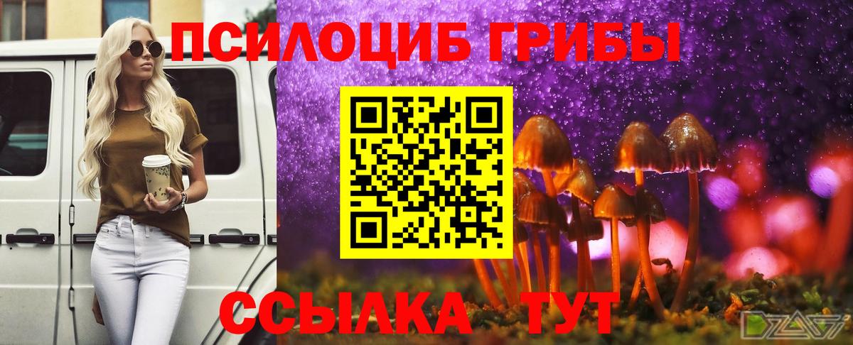 Псилоцибиновые грибы ЛСД Куйбышев